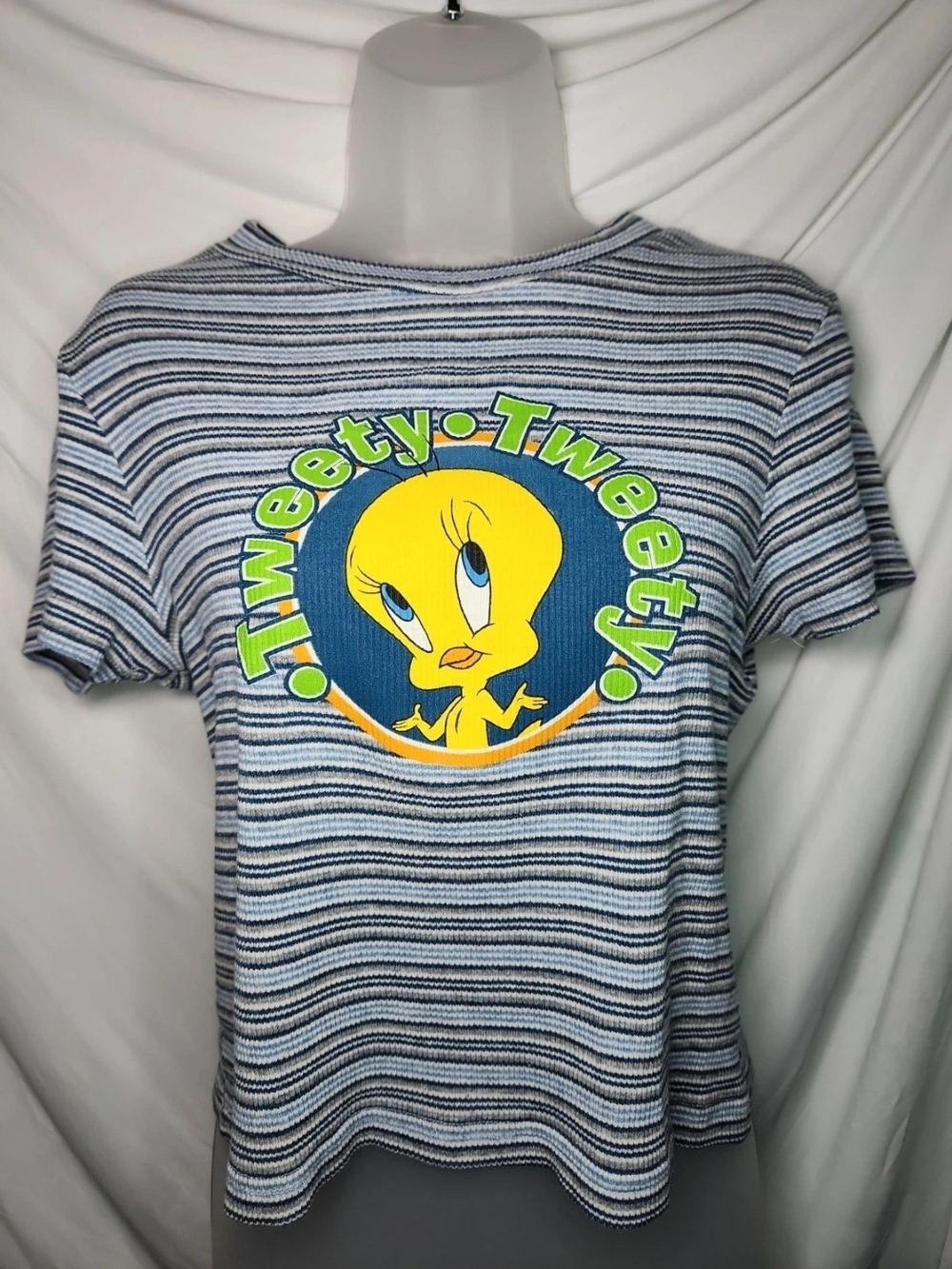 Vintage Tweety Graphic Striped Short Sleeve Tee - Blue/White